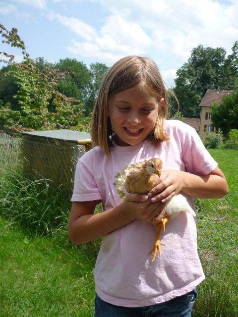Little chick