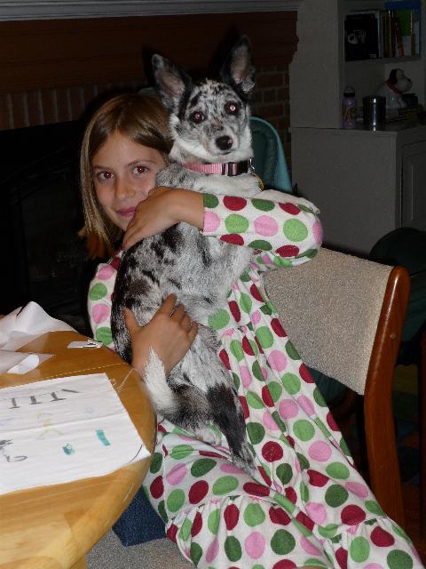 Love Lola