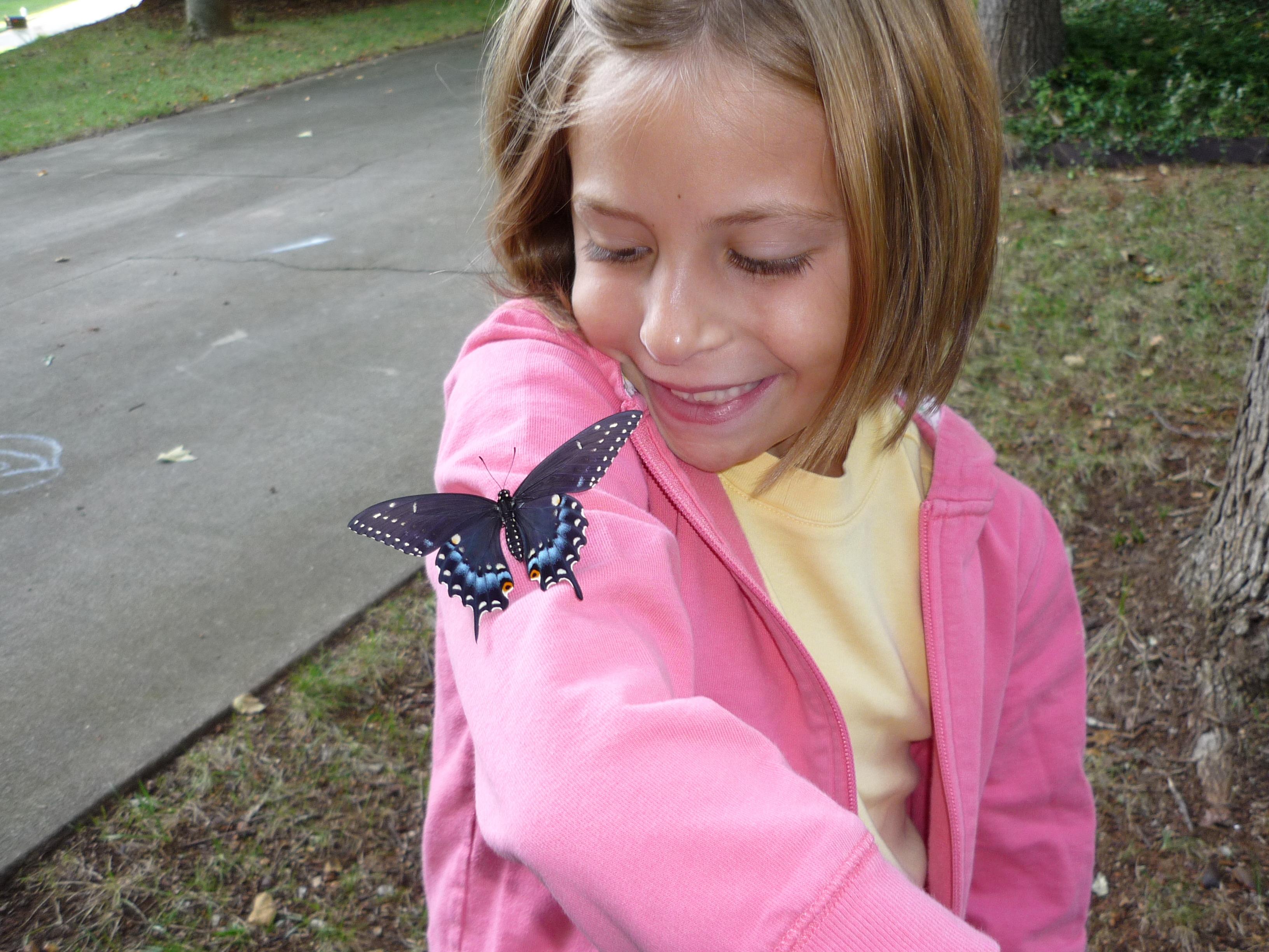 MyBlackSwallowtail.jpg
