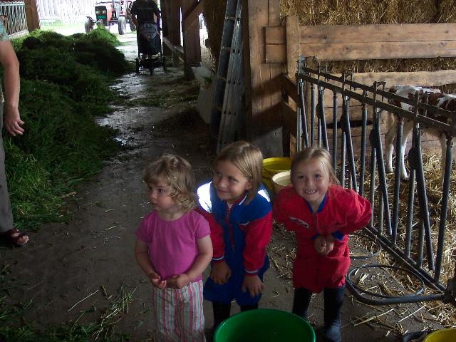 At the barn