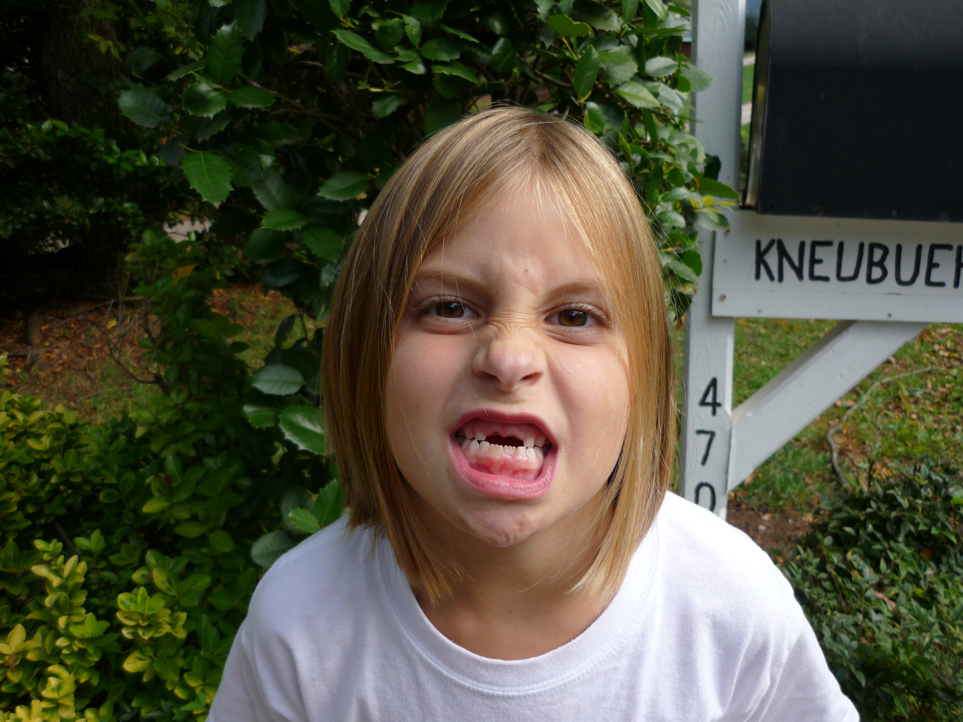 Noteeth.jpg