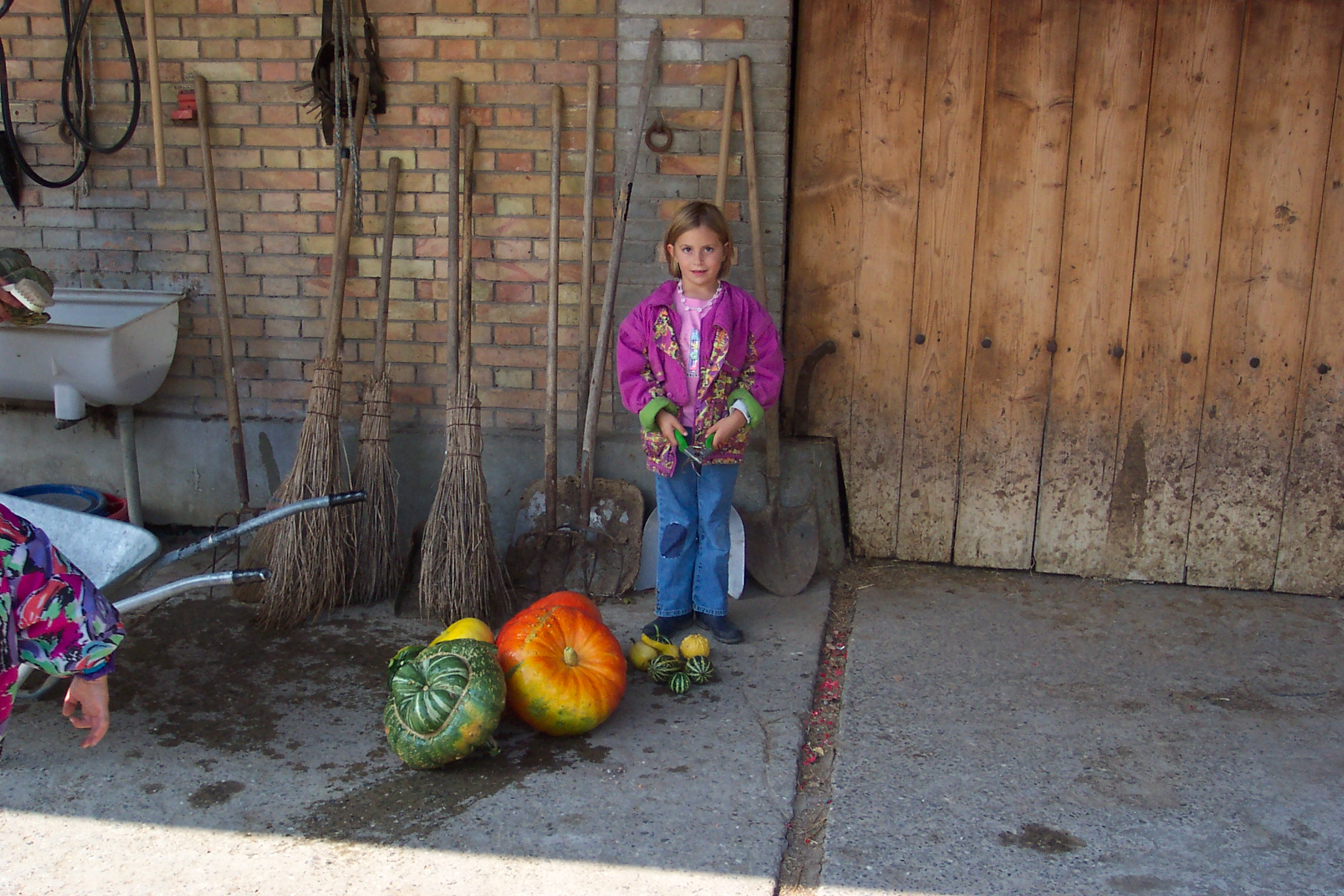 Theharvest.jpg