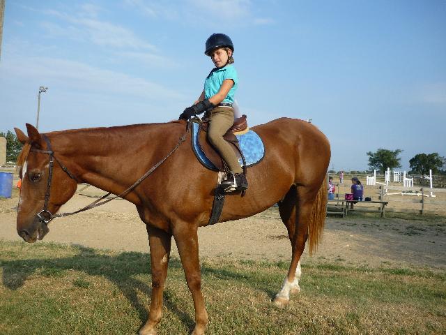 1st horse show