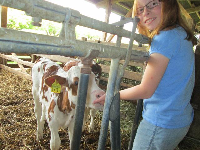At the barn