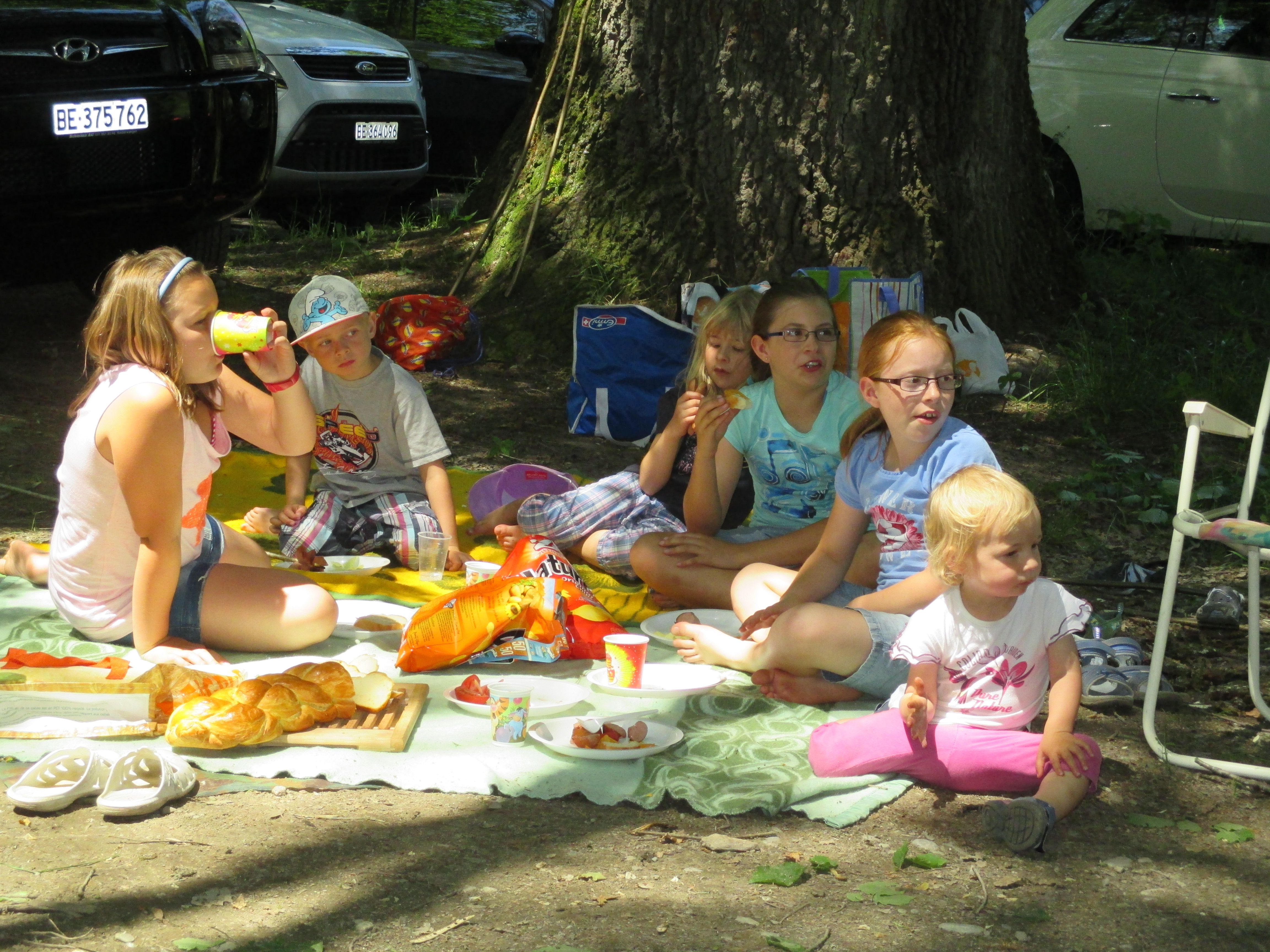Picnic.jpg