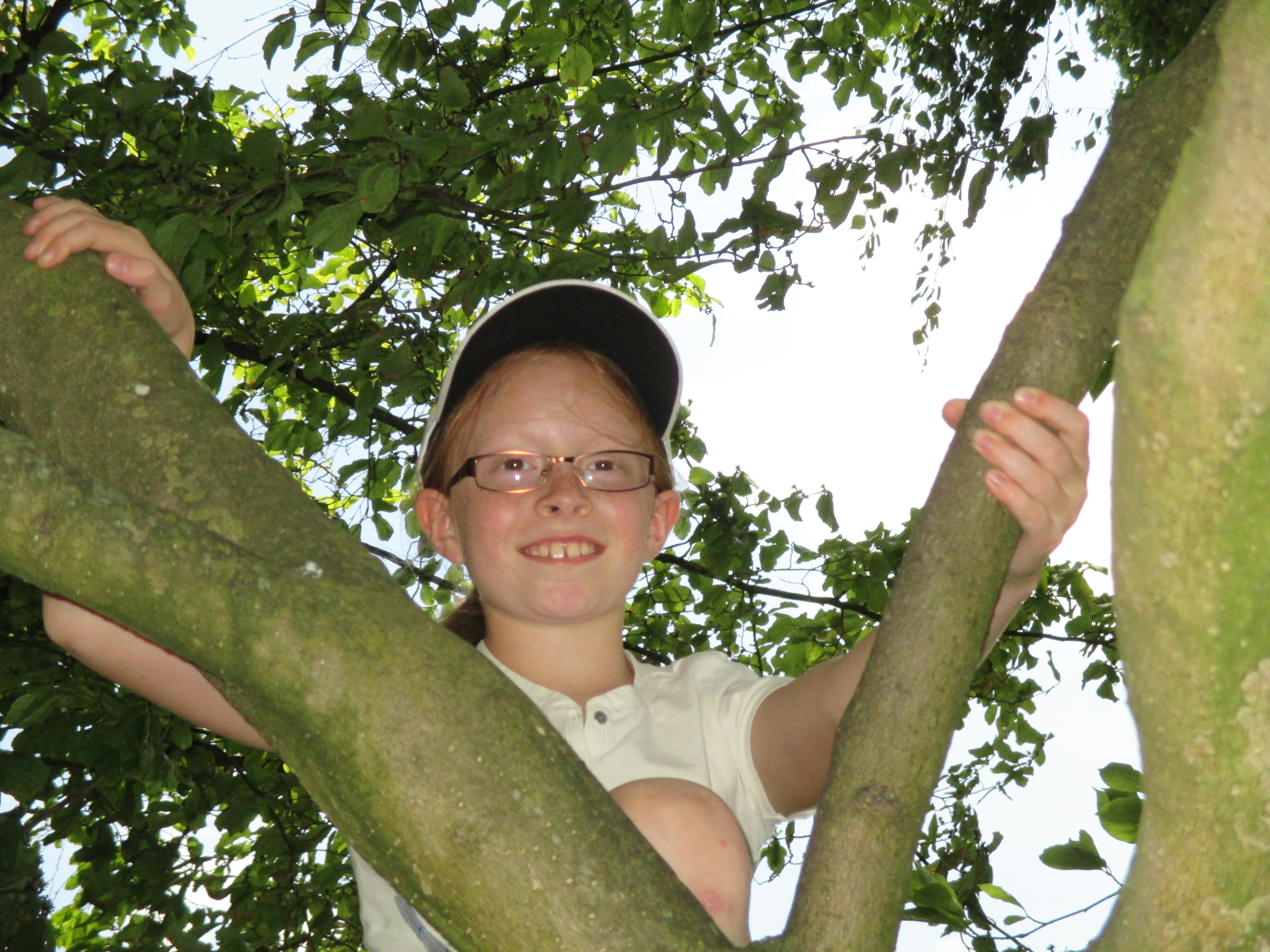 Treeclimbing.jpg