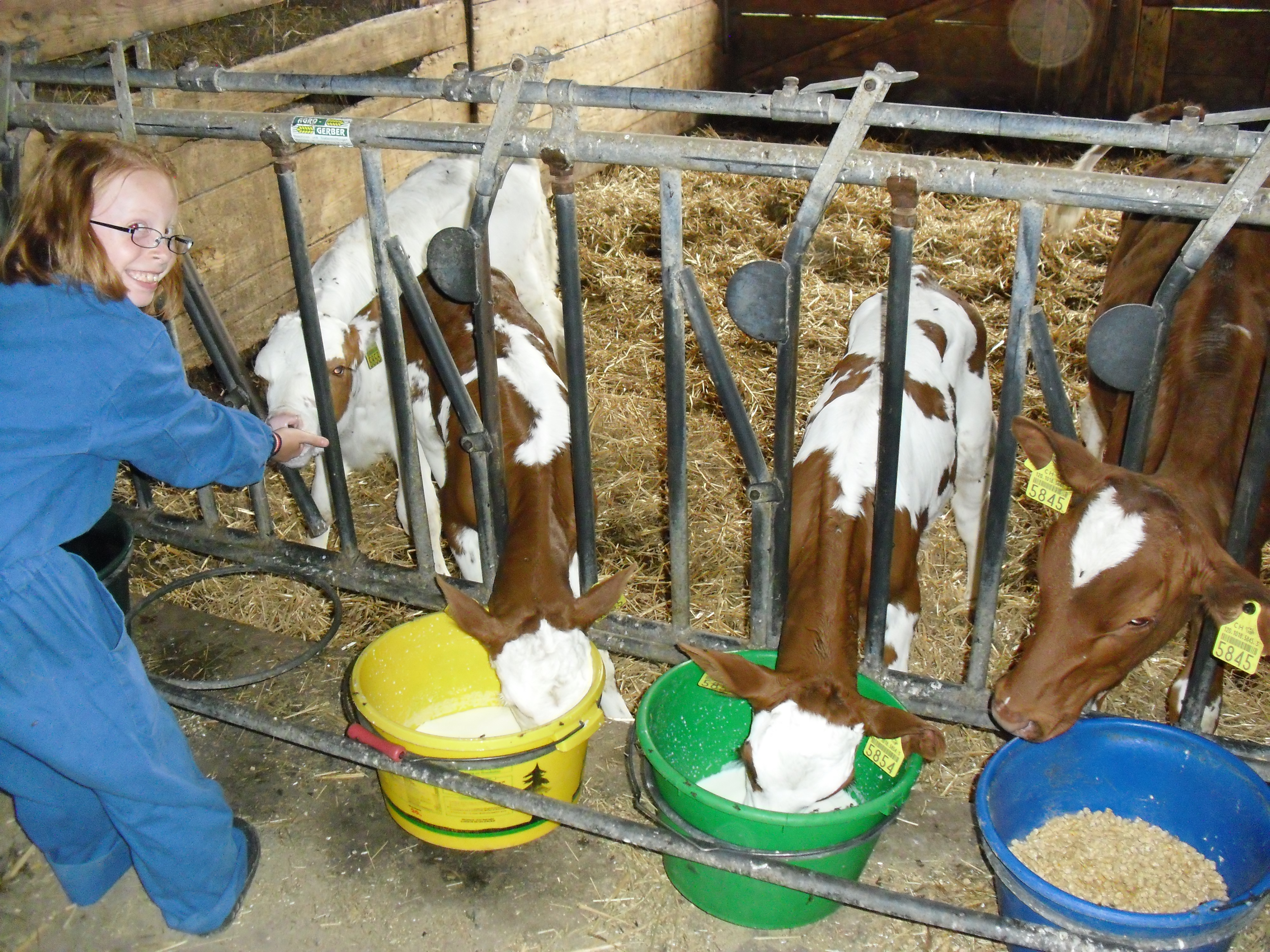 Cutecalves.jpg