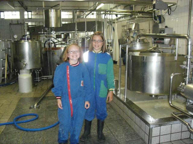 Cheese dairy