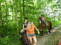 Ponyride.jpg