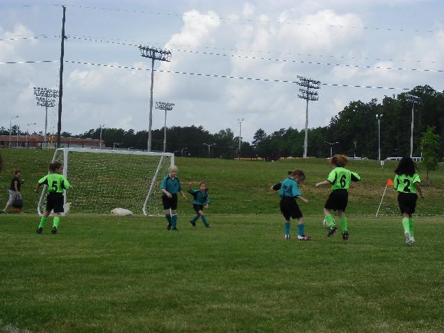 6 in action