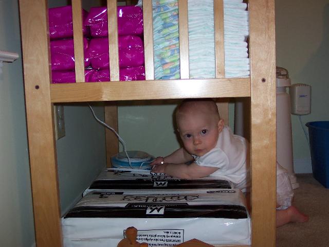 Busted