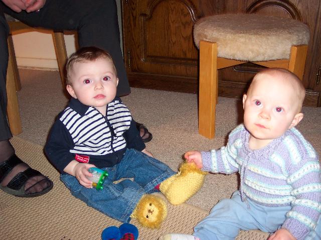 Sweet sitters