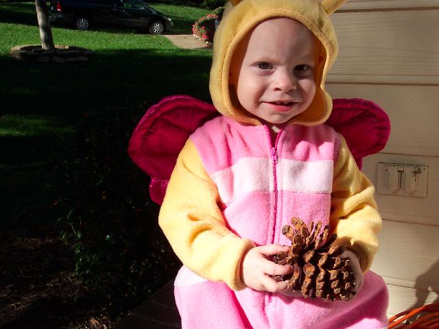 Big pinecone