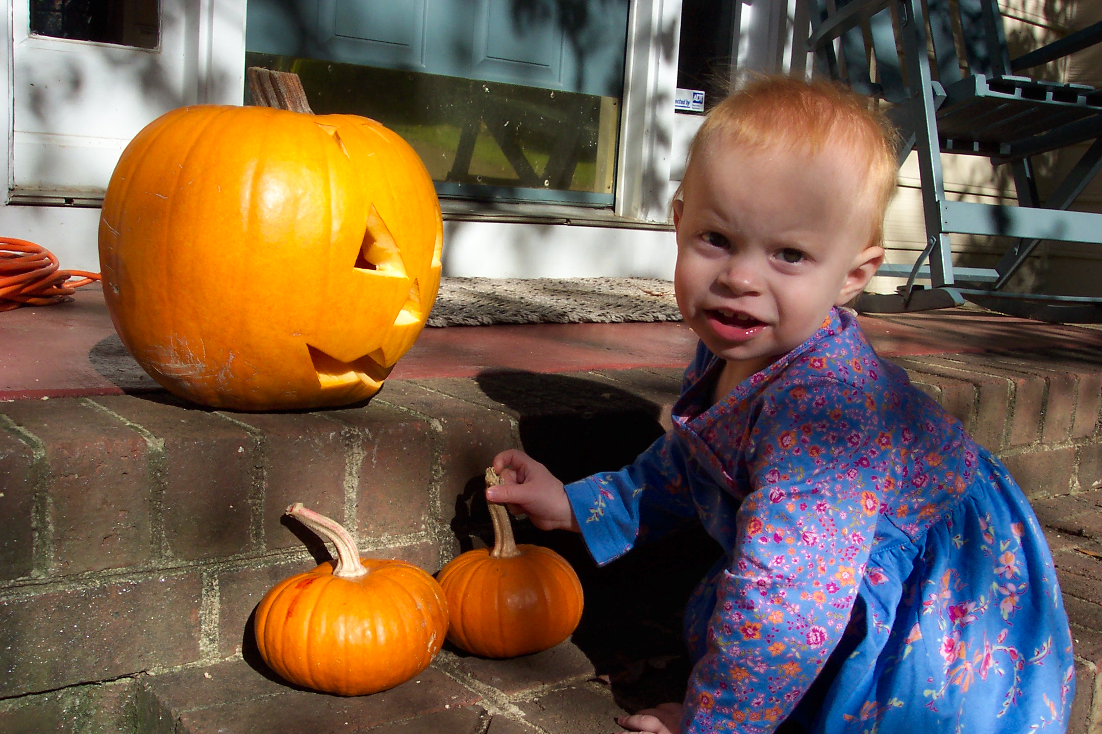 Ohpumpkin.jpg