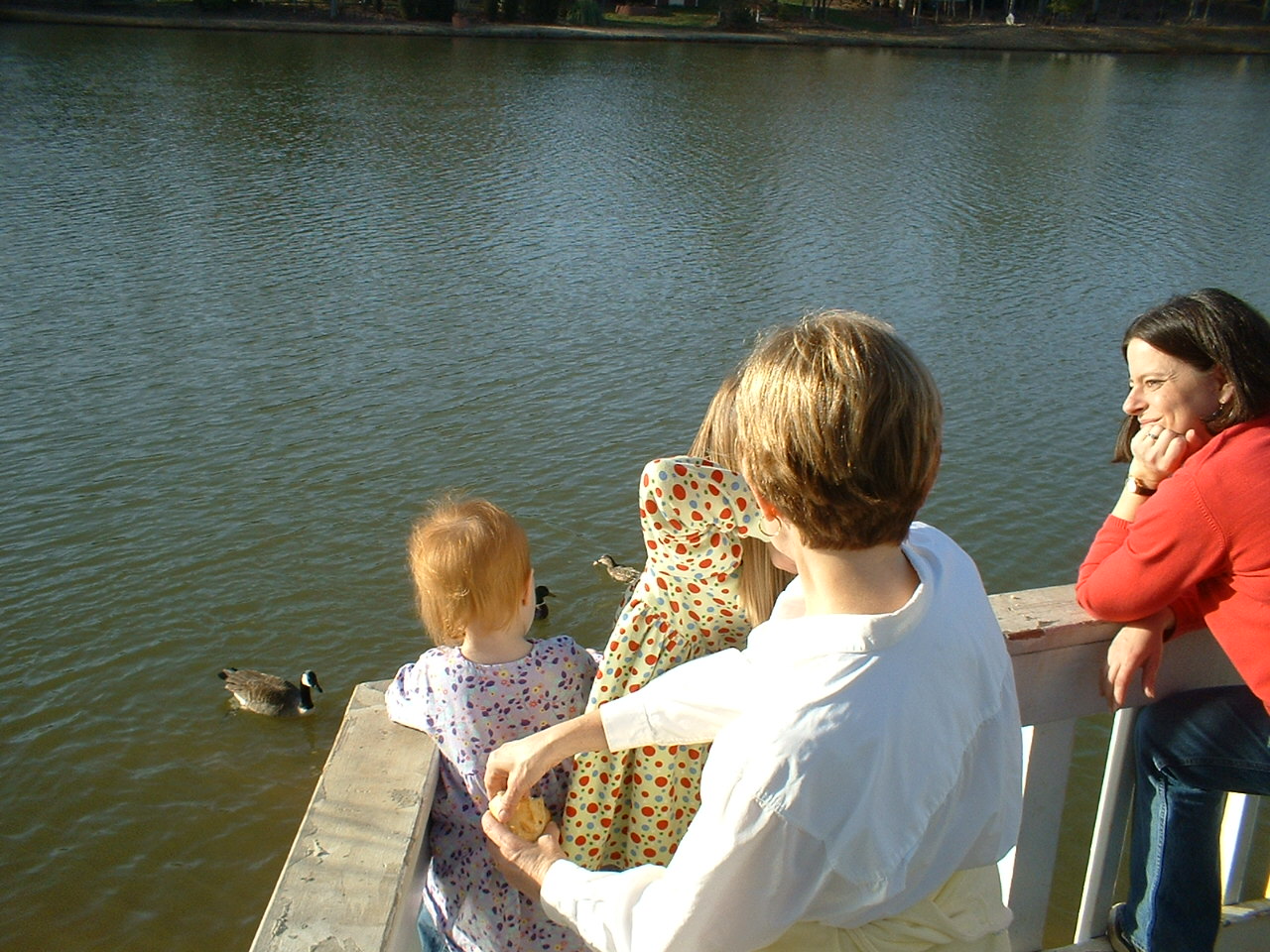 Feedingducks.jpg