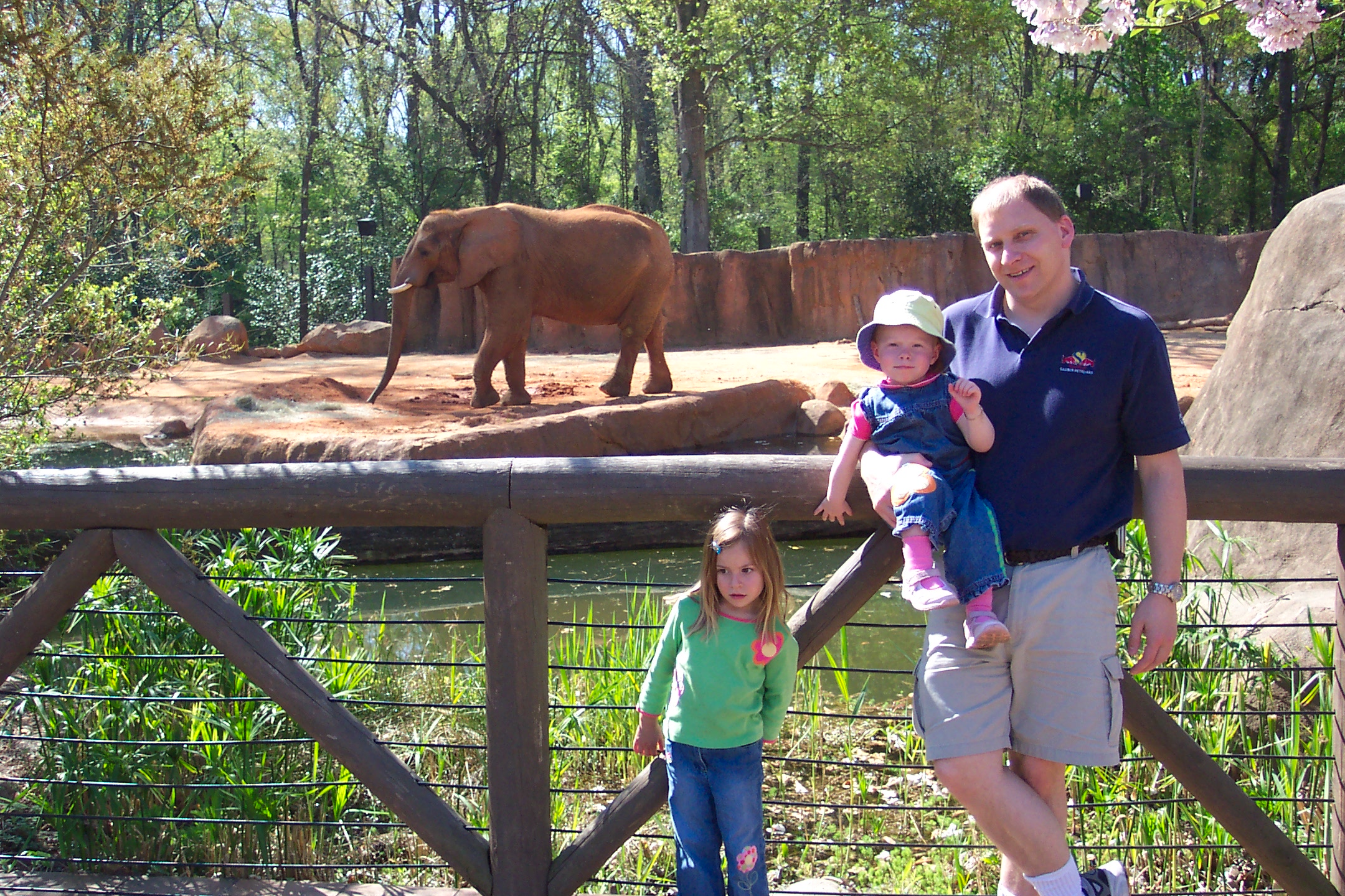 Atthezoo.jpg