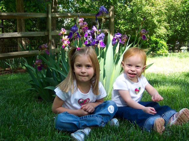 Irises