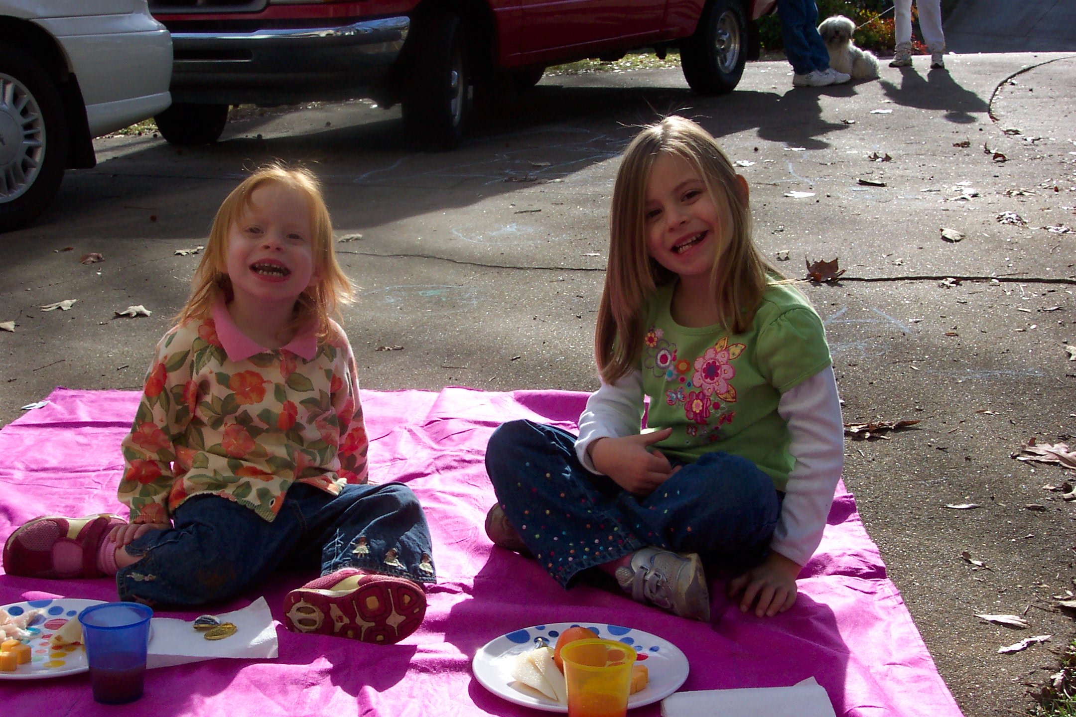 ChristmasEvepicnic.jpg