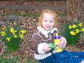 Januarydaffodils.jpg