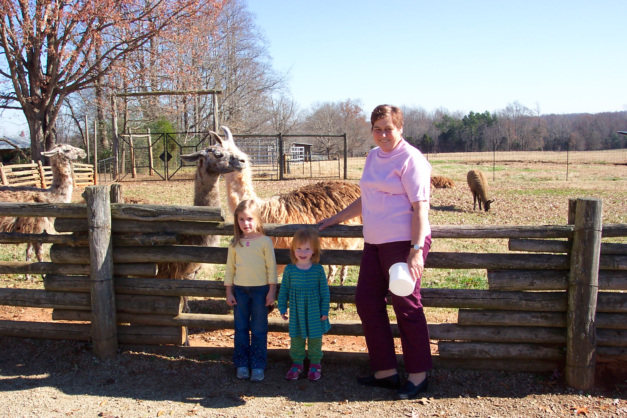 Lazy5Ranch.jpg