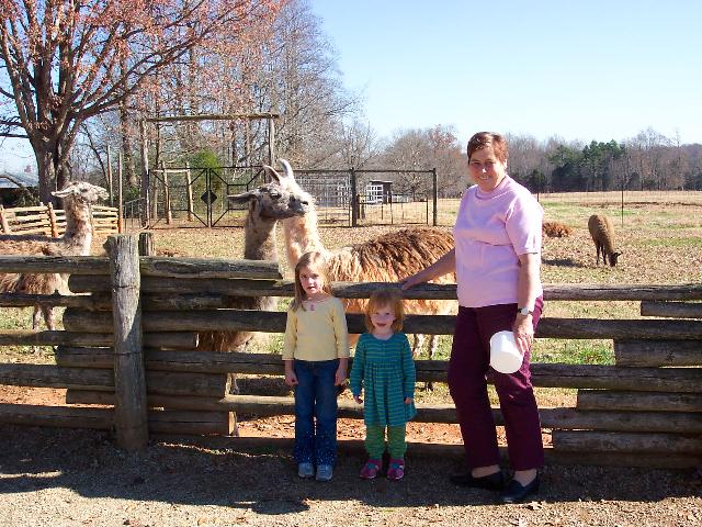 Lazy 5 Ranch