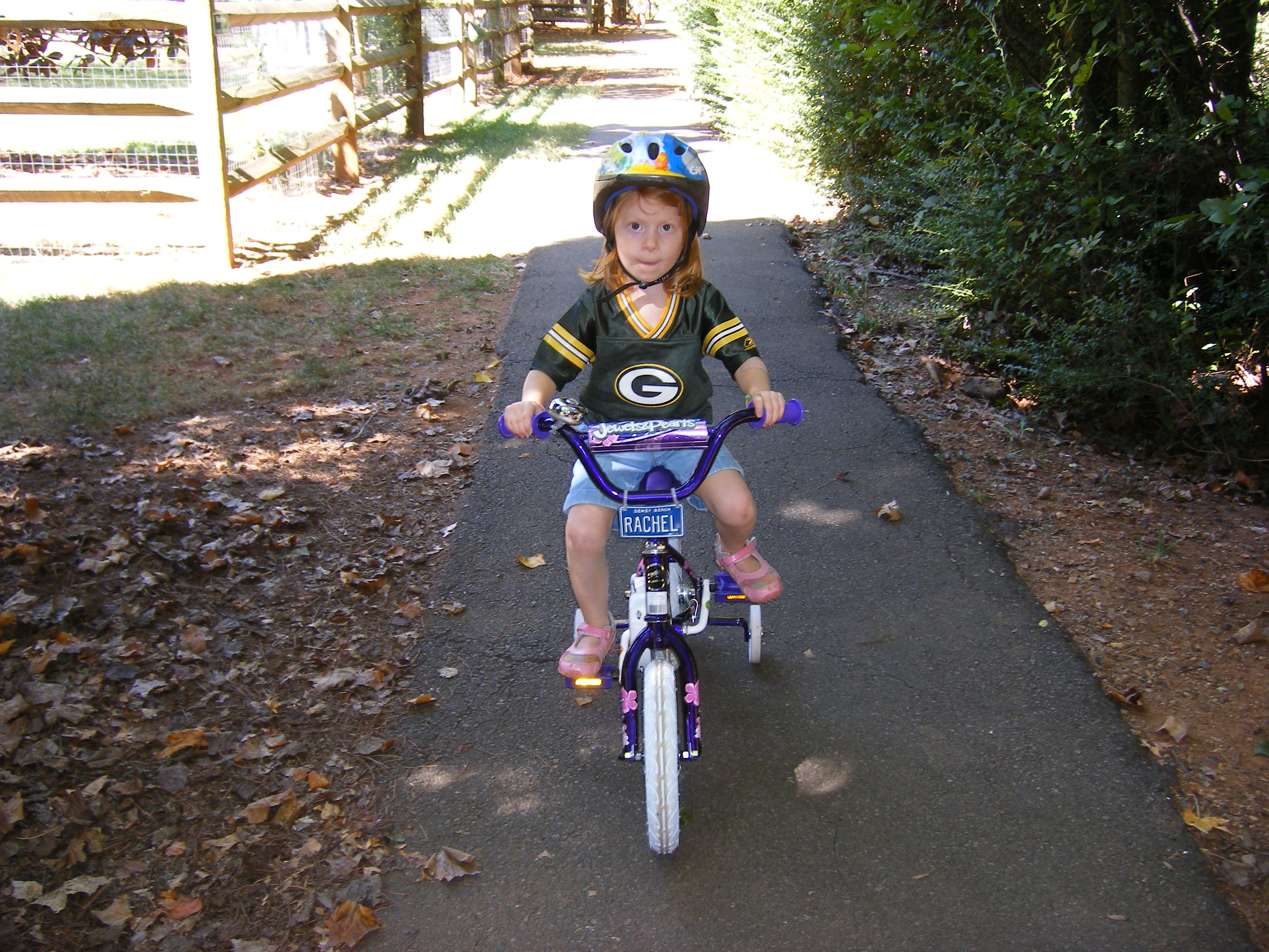 Biggirlbike.jpg