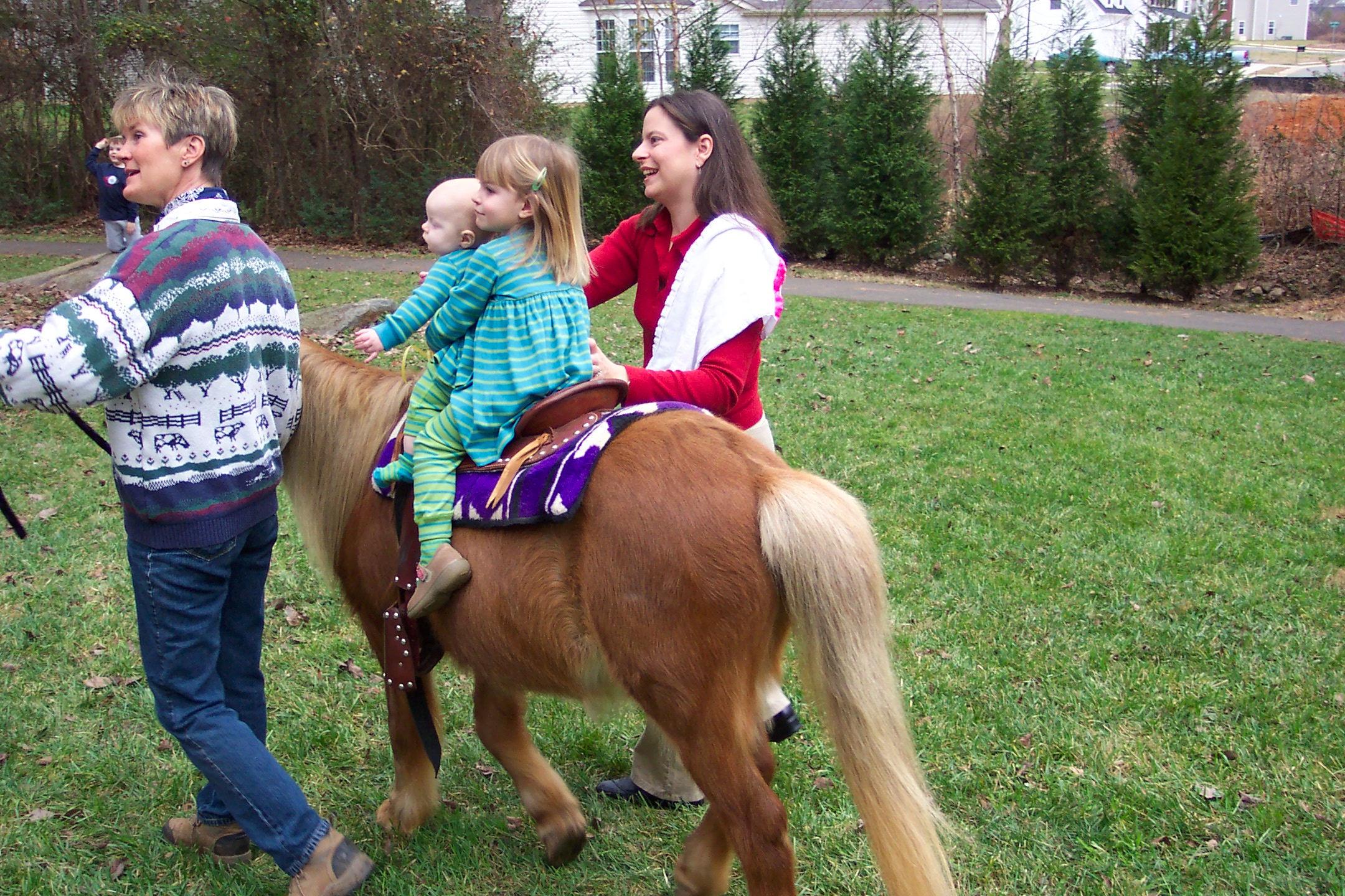 Ponyride.jpg