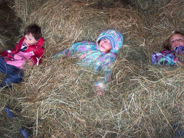 Bed of hay