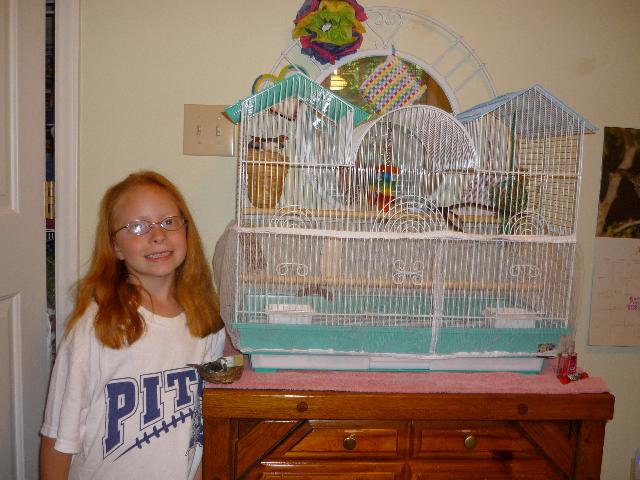 My birds