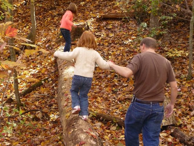 Nature balance beam