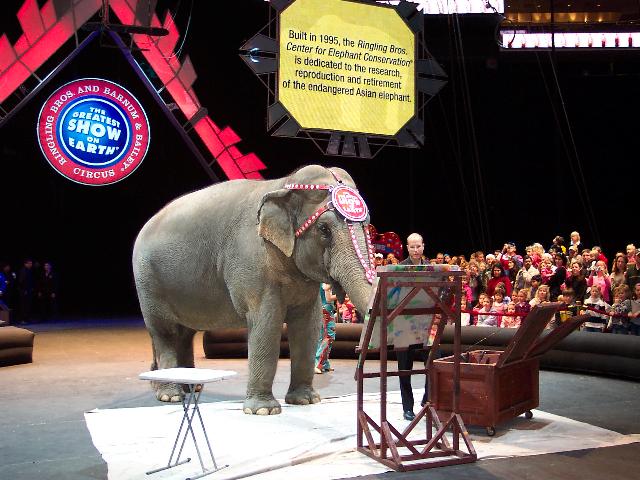 Elephant painting