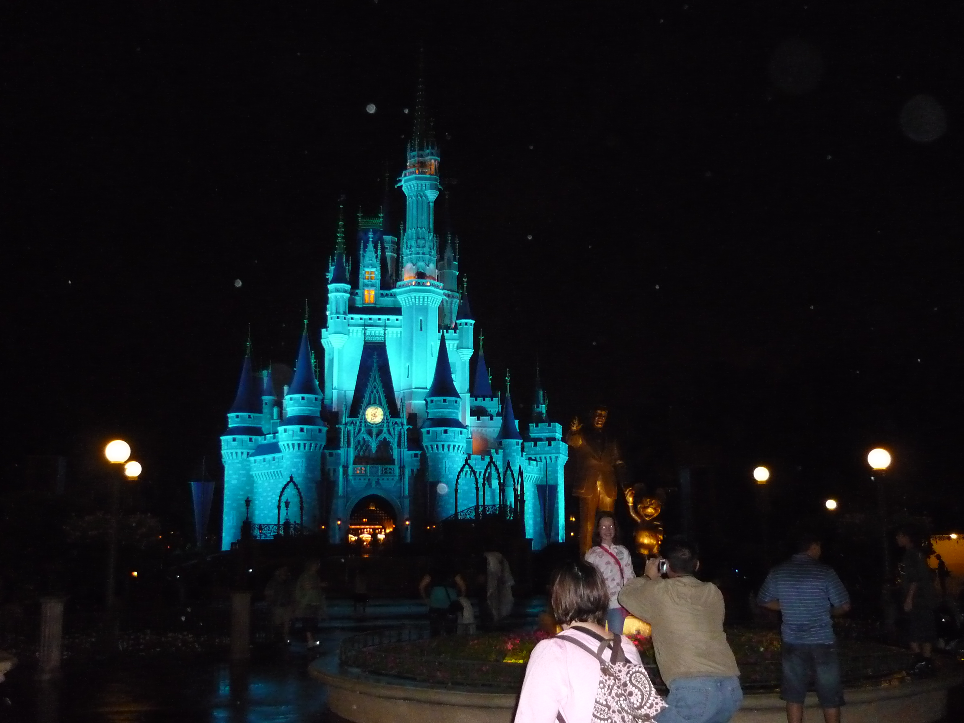 Nighttimecastle.jpg