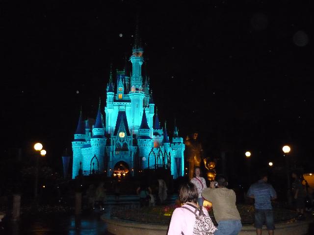 Nighttime castle