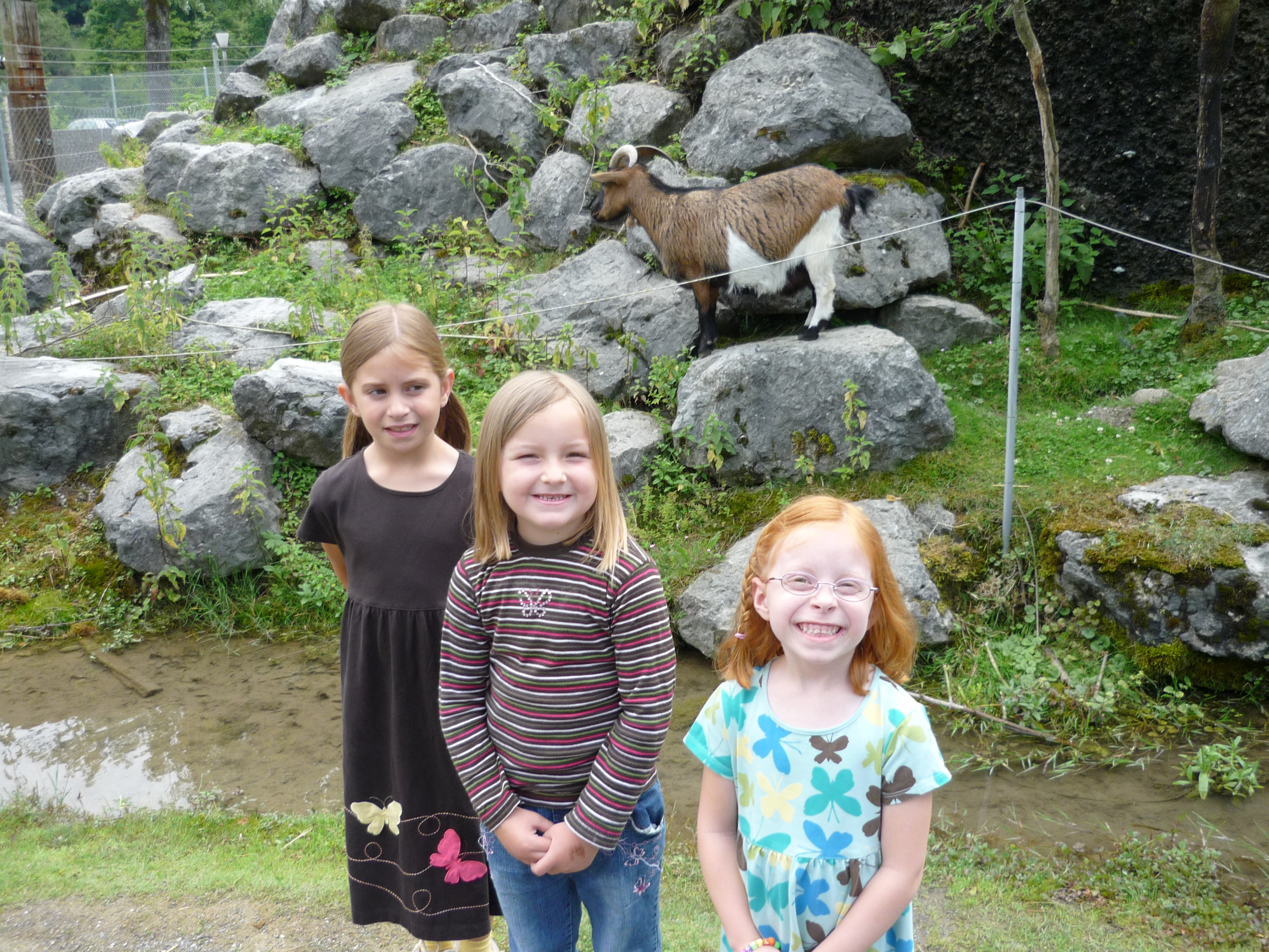 Goats.jpg