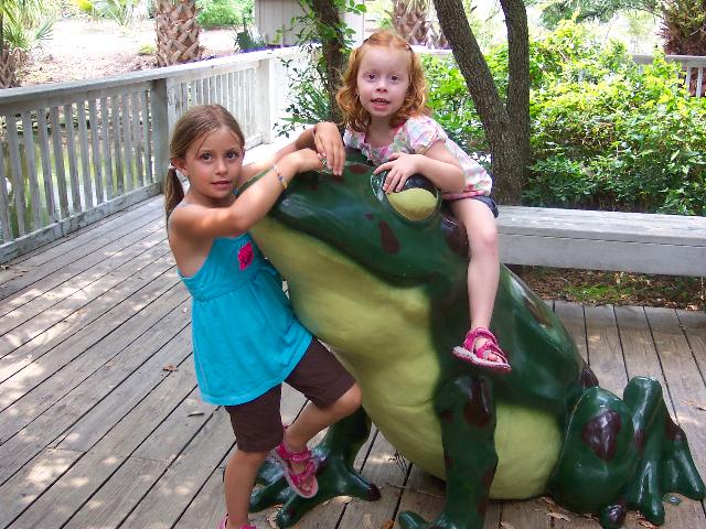 NC Aquarium