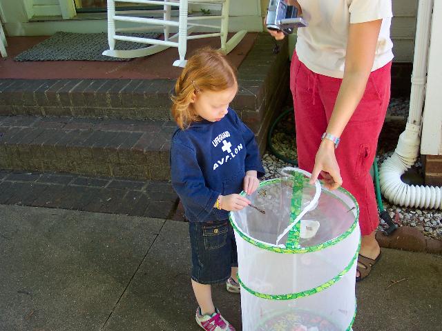 Releasing butterflies