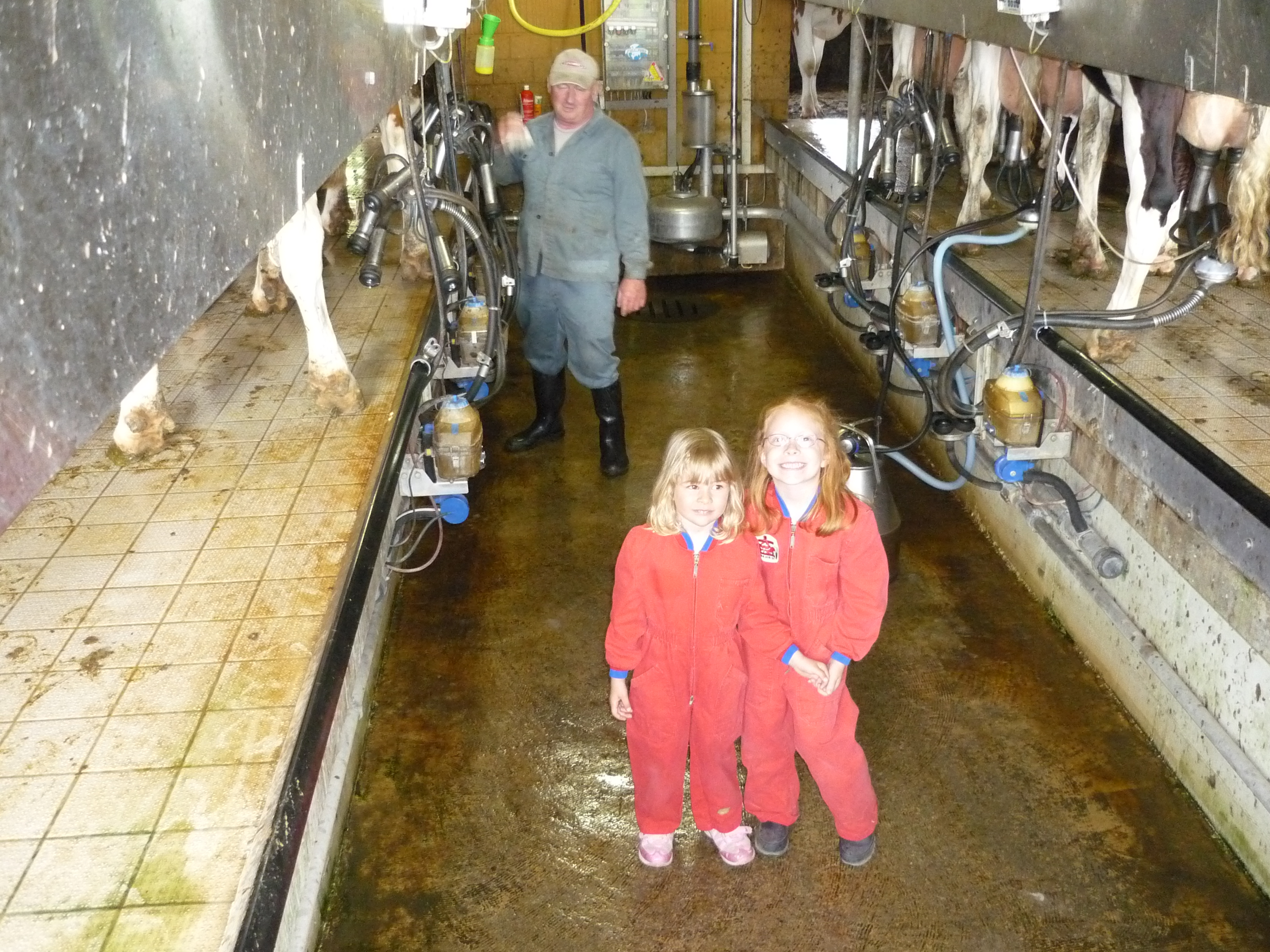 Milkingtime.jpg