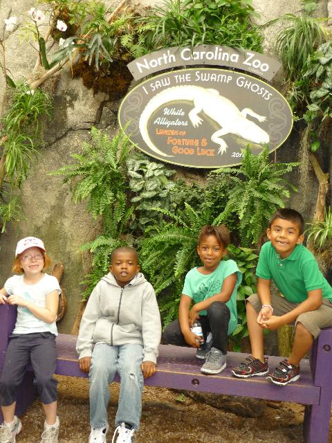 Going to the zoo