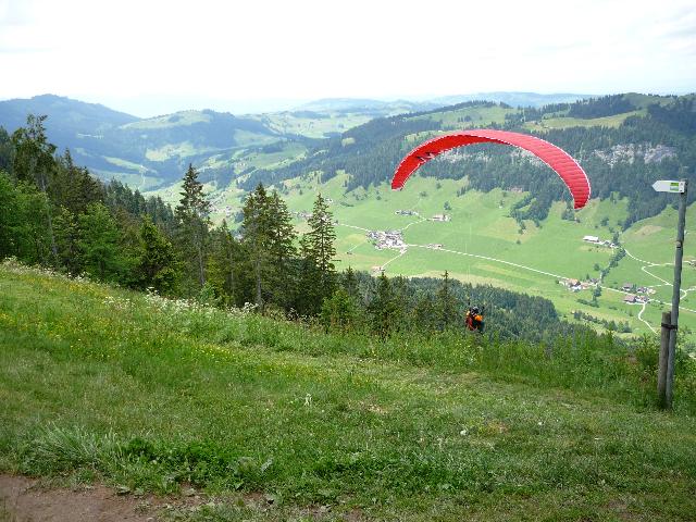 Hang gliders