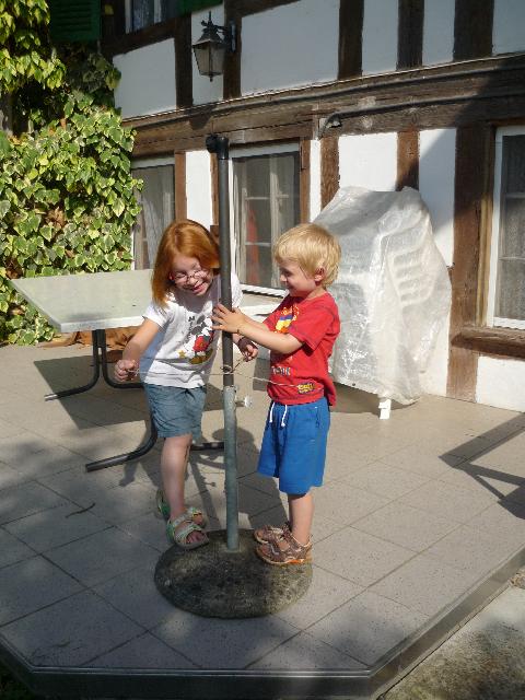 Playing cow