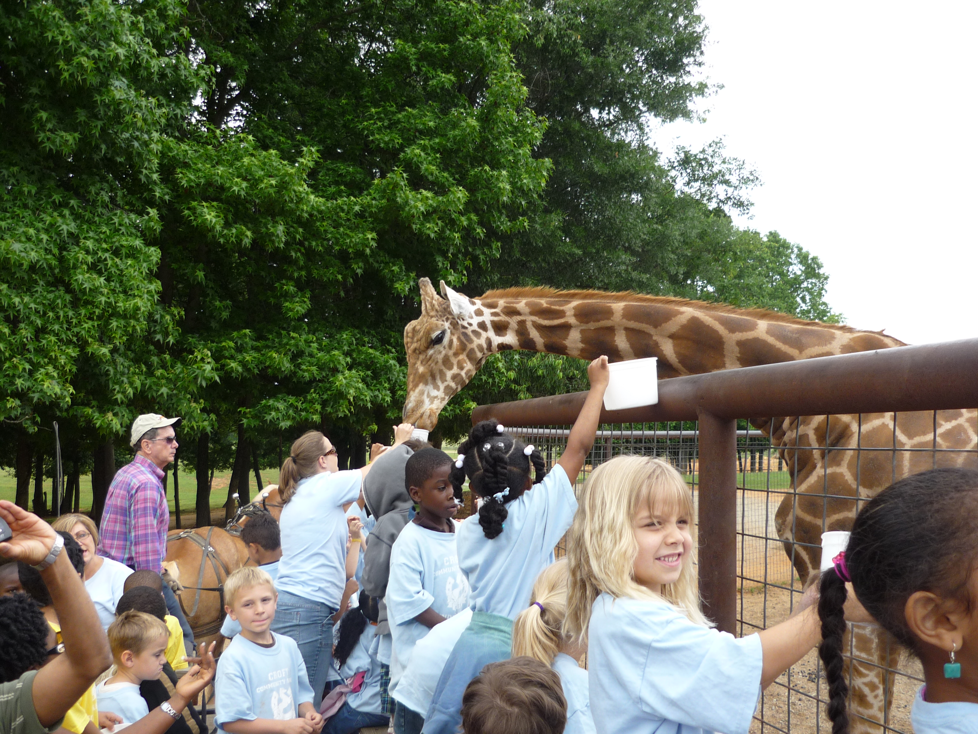 Giraffetime.jpg