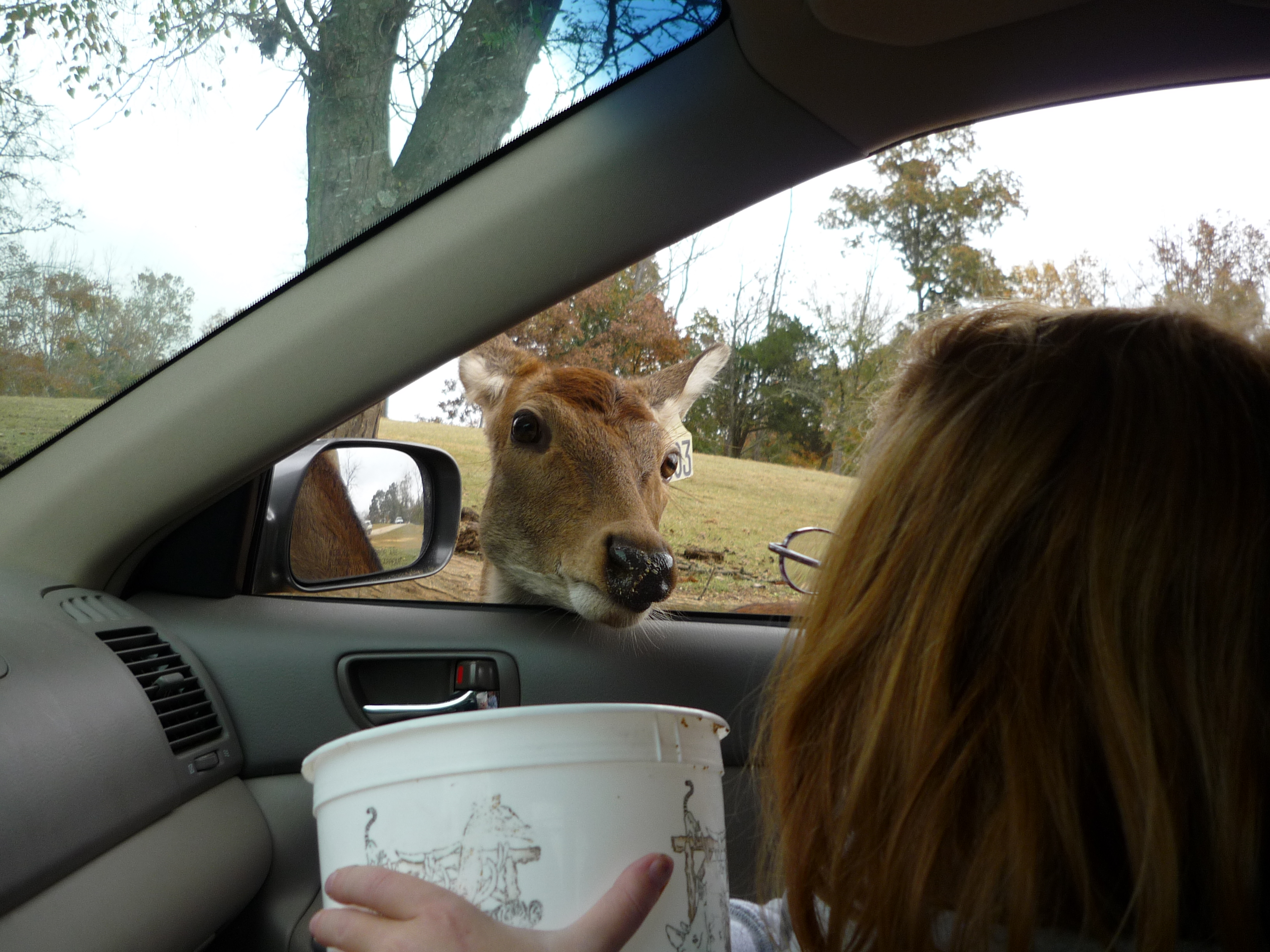 Feedme.jpg