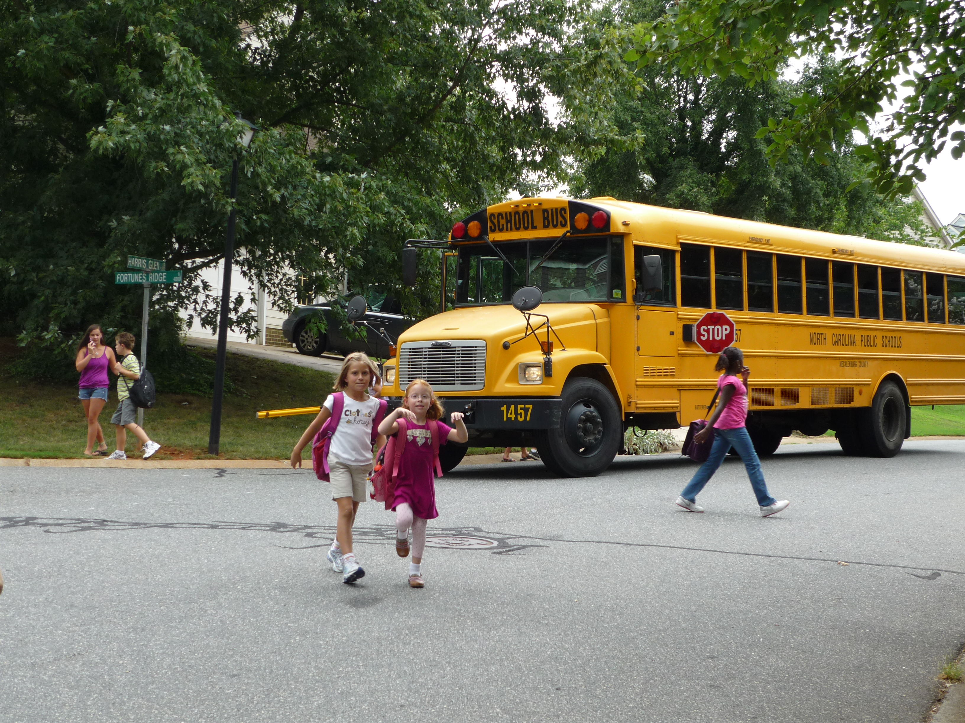Firstbusride.jpg